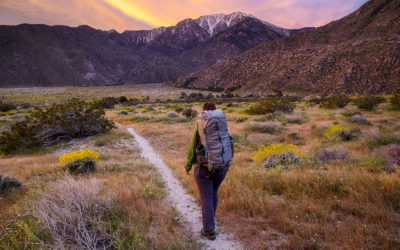 Des longs treks à découvrir aux USA