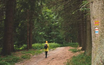 Évitez les mains froides en randonnée avec ces 5 conseils